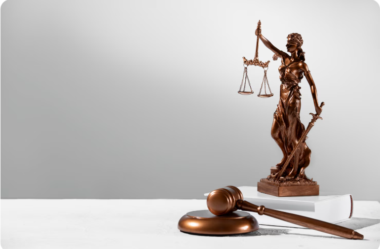 Duc Chanh Ho – Experienced Toronto Legal Consultant for Arrest and Defense Cases